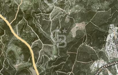 Seferihisar Atatürk Mahallesinde Doğanın Kalbinde Satılık Tarla