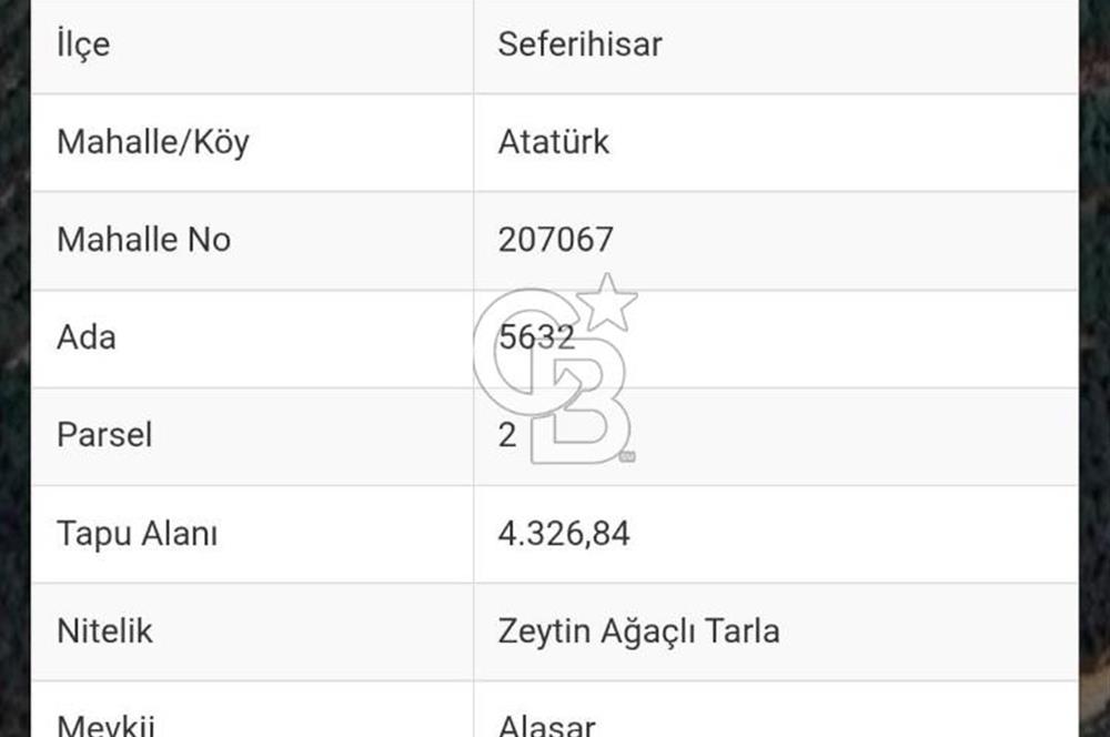 Seferihisar Atatürk Mahallesinde Doğanın Kalbinde Satılık Tarla