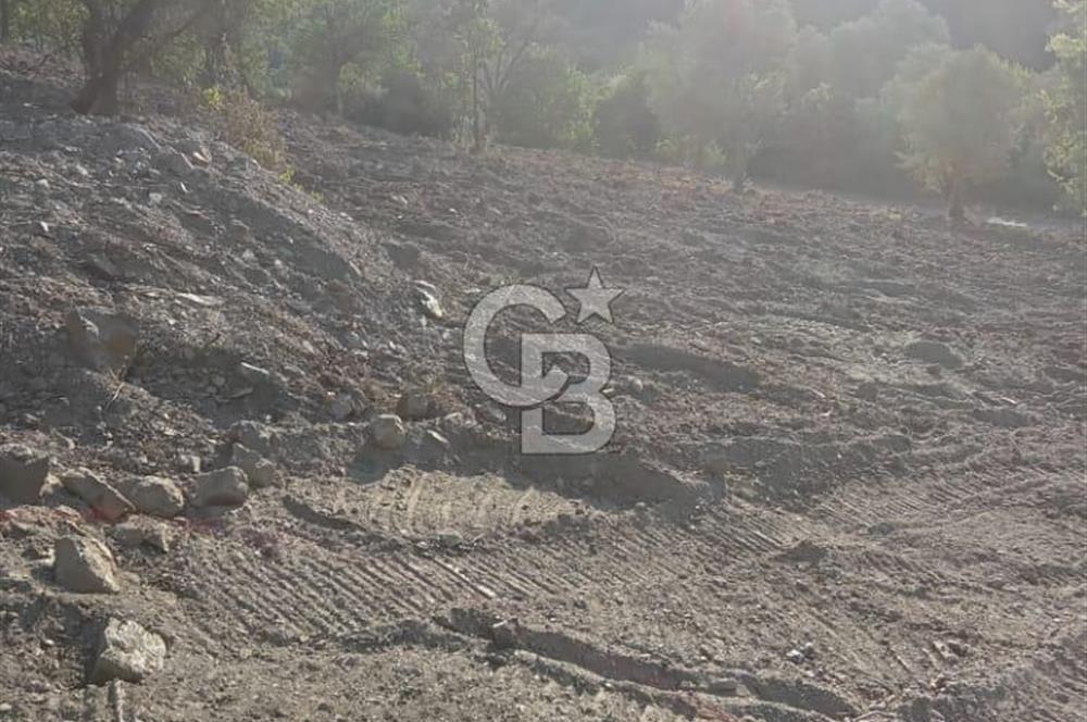Seferihisar Çamtepe de Yol Üzeri Satılık Tarla