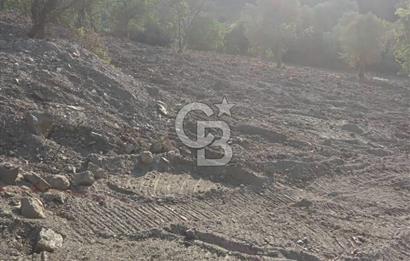 Seferihisar Çamtepe de Yol Üzeri Satılık Tarla