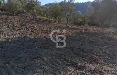 Seferihisar Çamtepe de Yol Üzeri Satılık Tarla