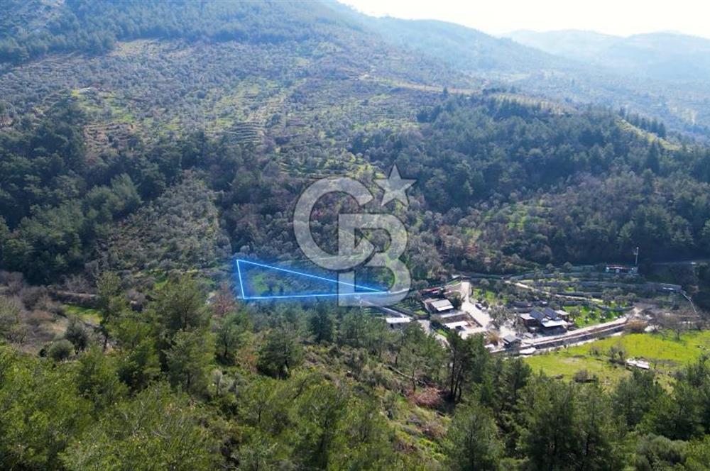 Seferihisar Çamtepe de Yol Üzeri Satılık Tarla