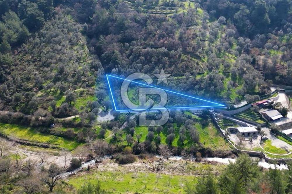 Seferihisar Çamtepe de Yol Üzeri Satılık Tarla