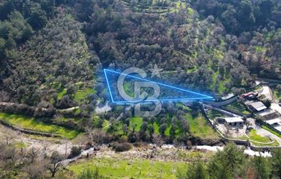 Seferihisar Çamtepe de Yol Üzeri Satılık Tarla