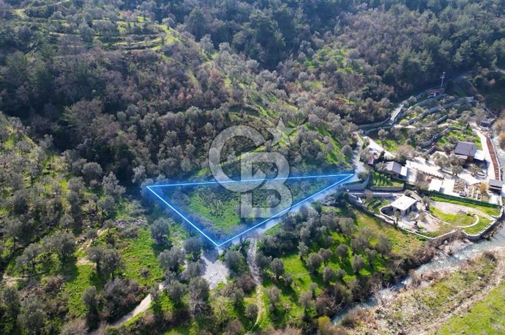 Seferihisar Çamtepe de Yol Üzeri Satılık Tarla