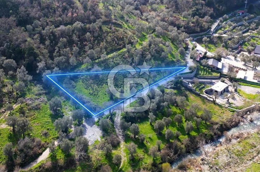 Seferihisar Çamtepe de Yol Üzeri Satılık Tarla