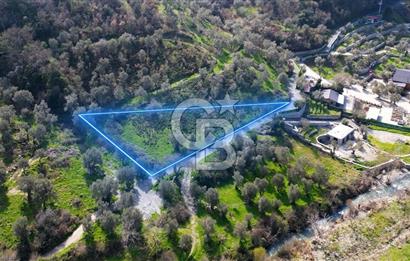 Seferihisar Çamtepe de Yol Üzeri Satılık Tarla