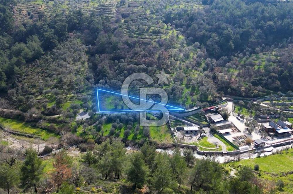 Seferihisar Çamtepe de Yol Üzeri Satılık Tarla