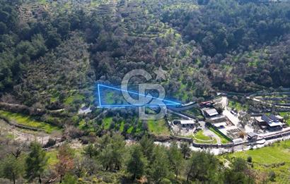 Seferihisar Çamtepe de Yol Üzeri Satılık Tarla