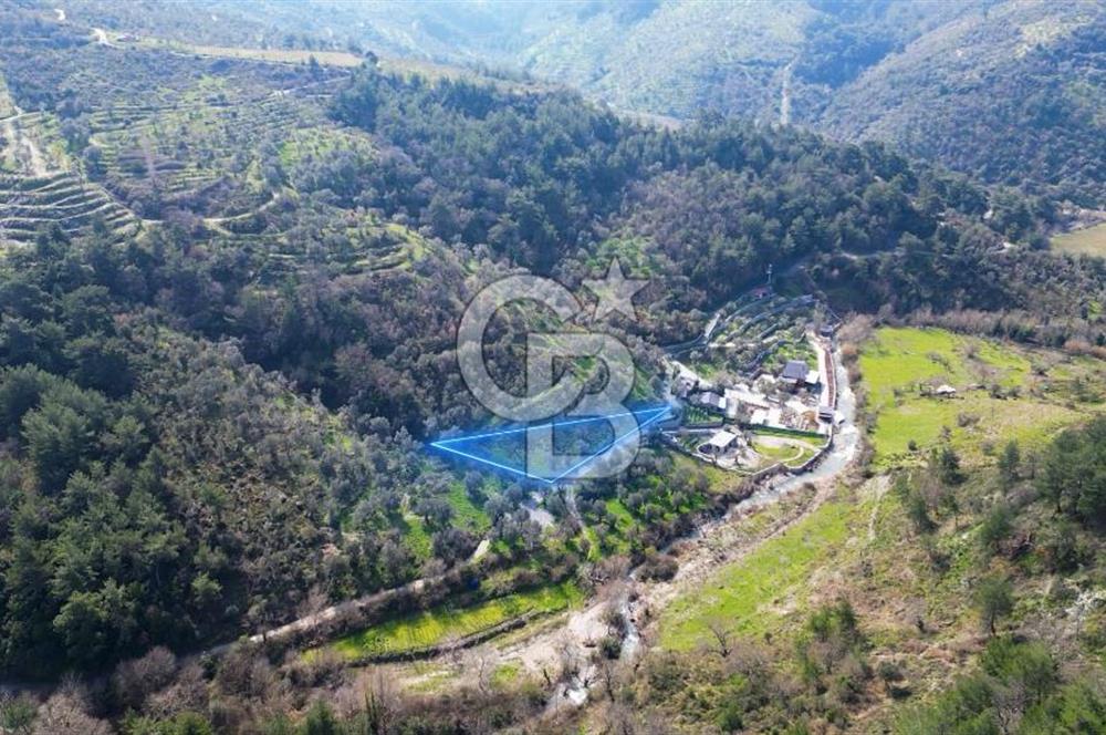 Seferihisar Çamtepe de Yol Üzeri Satılık Tarla