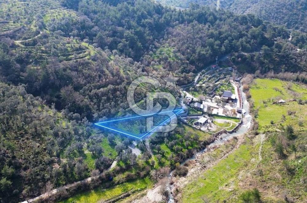 Seferihisar Çamtepe de Yol Üzeri Satılık Tarla