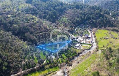 Seferihisar Çamtepe de Yol Üzeri Satılık Tarla