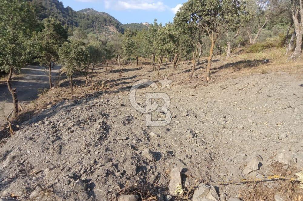 Seferihisar Çamtepe de Yol Üzeri Satılık Tarla