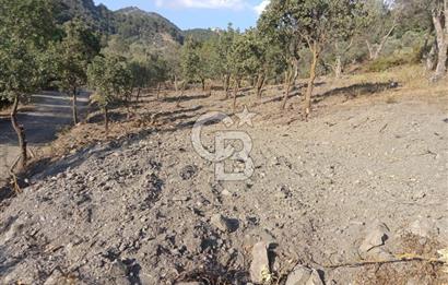 Seferihisar Çamtepe de Yol Üzeri Satılık Tarla