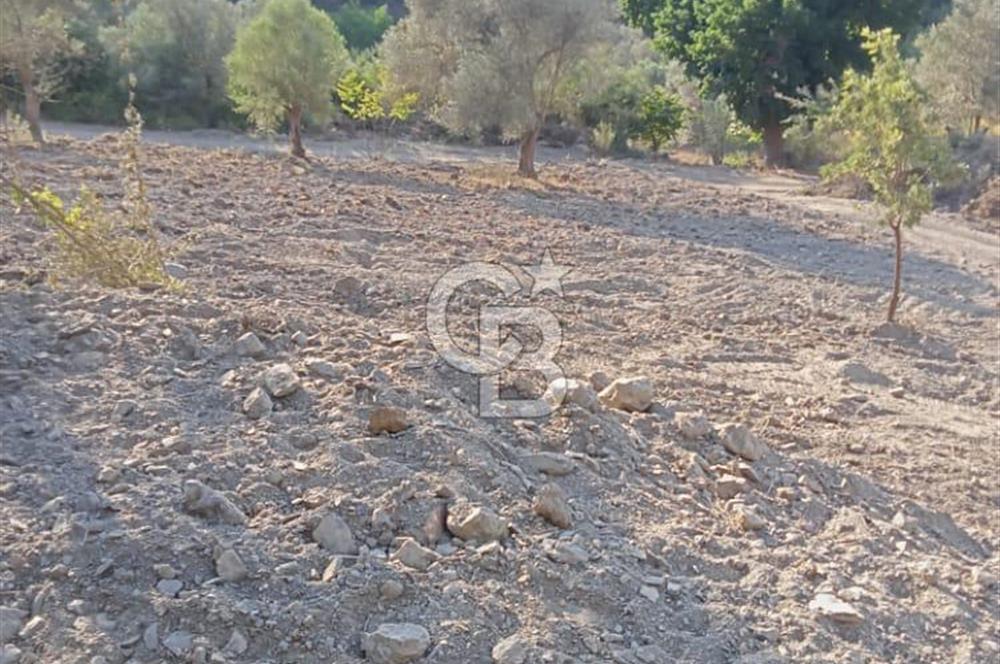 Seferihisar Çamtepe de Yol Üzeri Satılık Tarla