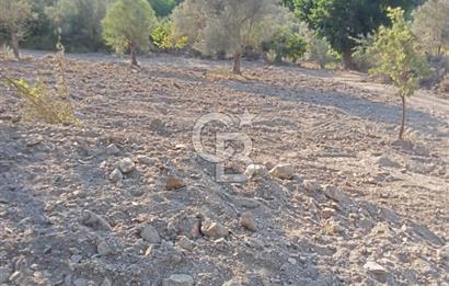 Seferihisar Çamtepe de Yol Üzeri Satılık Tarla