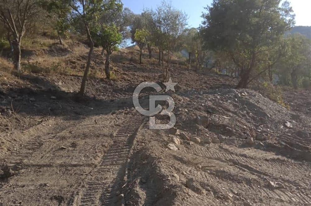 Seferihisar Çamtepe de Yol Üzeri Satılık Tarla