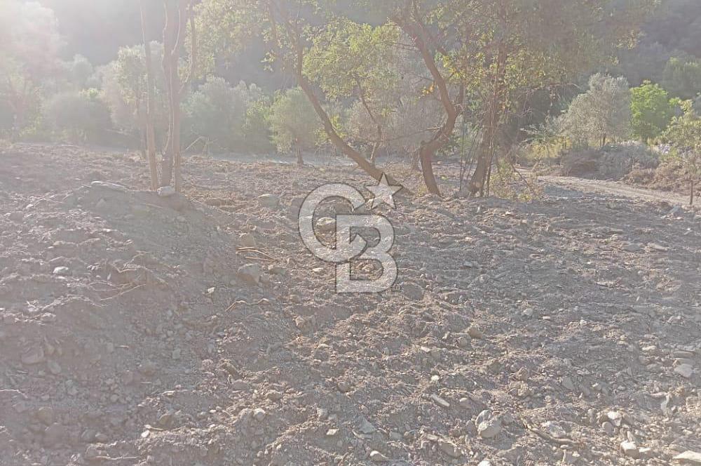 Seferihisar Çamtepe de Yol Üzeri Satılık Tarla