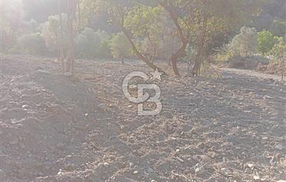 Seferihisar Çamtepe de Yol Üzeri Satılık Tarla