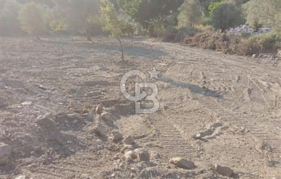 Seferihisar Çamtepe de Yol Üzeri Satılık Tarla