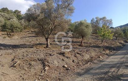 Seferihisar Çamtepe de Yol Üzeri Satılık Tarla