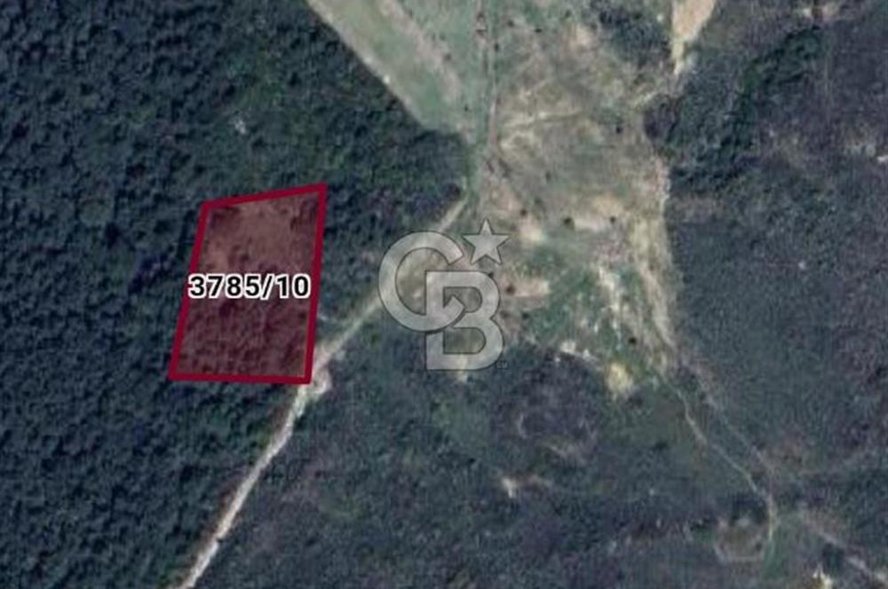 Çeşmealtı Denizli Mah 360Derece Deniz Manzaralı Satılık Tarla