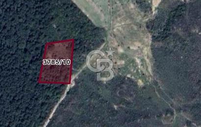 Çeşmealtı Denizli Mah 360Derece Deniz Manzaralı Satılık Tarla