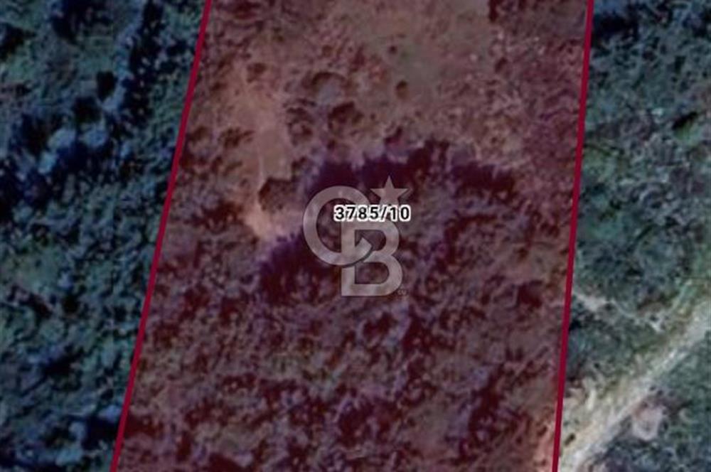 Çeşmealtı Denizli Mah 360Derece Deniz Manzaralı Satılık Tarla