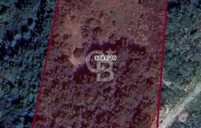 Çeşmealtı Denizli Mah 360Derece Deniz Manzaralı Satılık Tarla