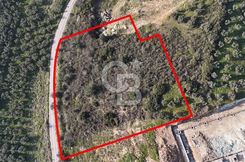 GEMLİK ENGÜRÜCÜK'TE DEPO/ANTREPO İMARLI LOJİSTİK YATIRIM ARSASI