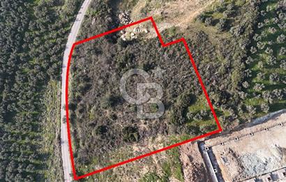 GEMLİK ENGÜRÜCÜK'TE DEPO/ANTREPO İMARLI LOJİSTİK YATIRIM ARSASI