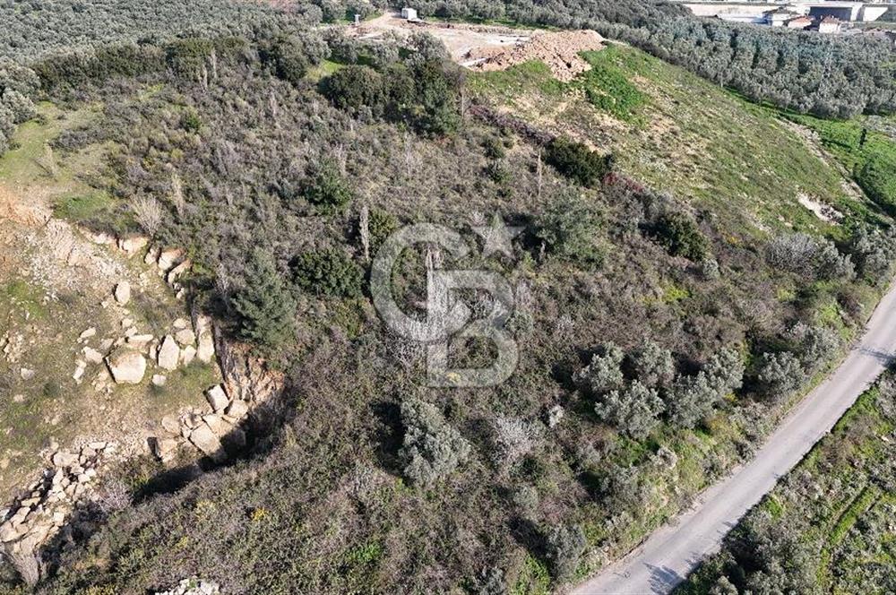 GEMLİK ENGÜRÜCÜK'TE DEPO/ANTREPO İMARLI LOJİSTİK YATIRIM ARSASI