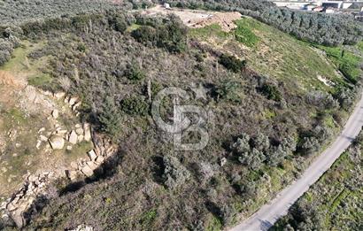 GEMLİK ENGÜRÜCÜK'TE DEPO/ANTREPO İMARLI LOJİSTİK YATIRIM ARSASI