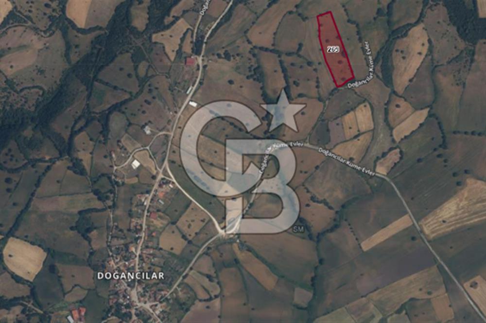 Çanakkale Çan Doğancılar Köyü'nde 13.550 m² Satılık Tarla