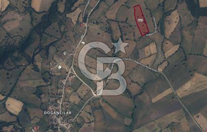 Çanakkale Çan Doğancılar Köyü'nde 13.550 m² Satılık Tarla