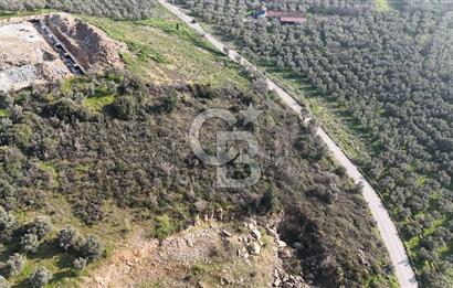 GEMLİK ENGÜRÜCÜK'TE DEPO/ANTREPO İMARLI LOJİSTİK YATIRIM ARSASI