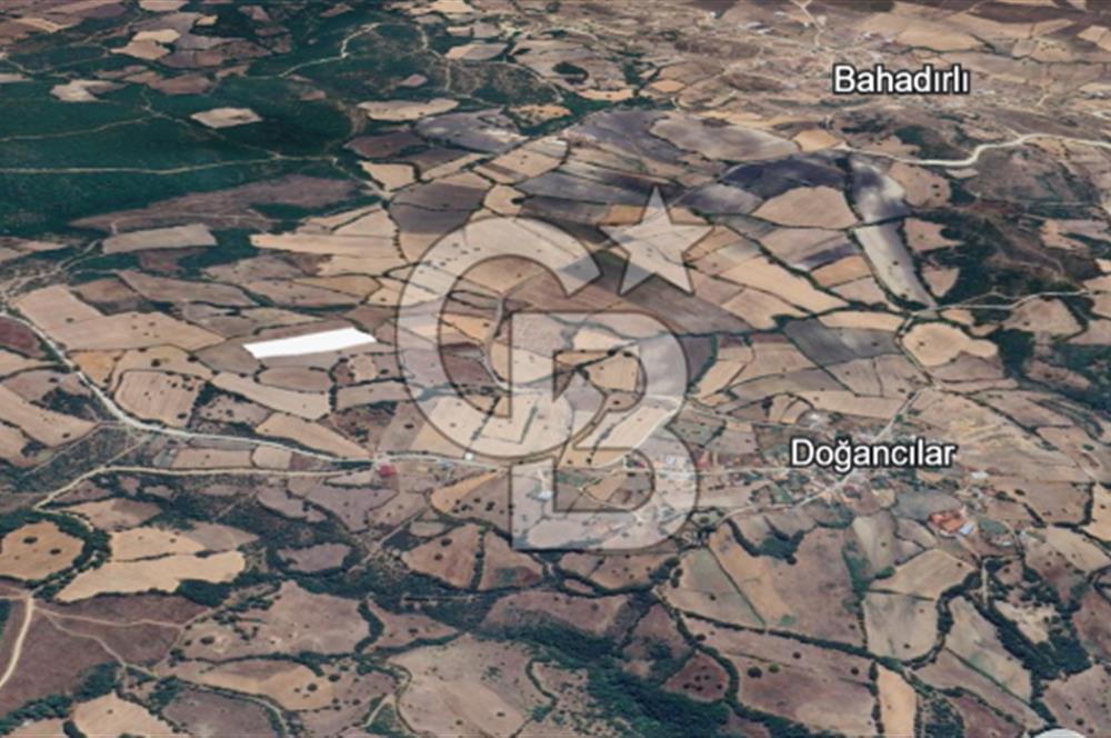 Çanakkale Çan Doğancılar Köyü'nde 13.550 m² Satılık Tarla