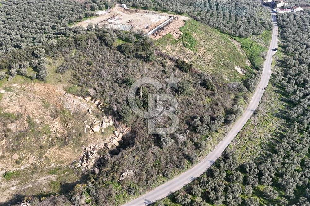 GEMLİK ENGÜRÜCÜK'TE DEPO/ANTREPO İMARLI LOJİSTİK YATIRIM ARSASI