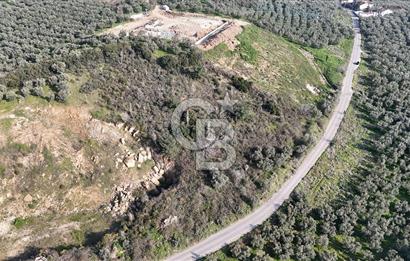 GEMLİK ENGÜRÜCÜK'TE DEPO/ANTREPO İMARLI LOJİSTİK YATIRIM ARSASI