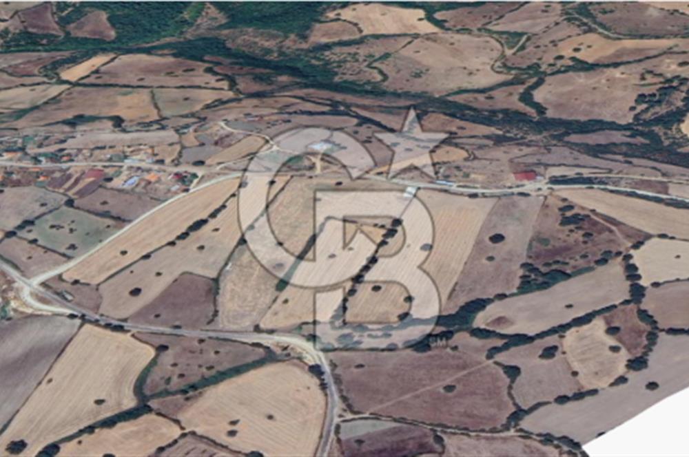 Çanakkale Çan Doğancılar Köyü'nde 13.550 m² Satılık Tarla