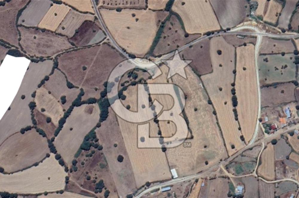 Çanakkale Çan Doğancılar Köyü'nde 13.550 m² Satılık Tarla
