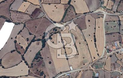 Çanakkale Çan Doğancılar Köyü'nde 13.550 m² Satılık Tarla