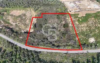 GEMLİK ENGÜRÜCÜK'TE DEPO/ANTREPO İMARLI LOJİSTİK YATIRIM ARSASI