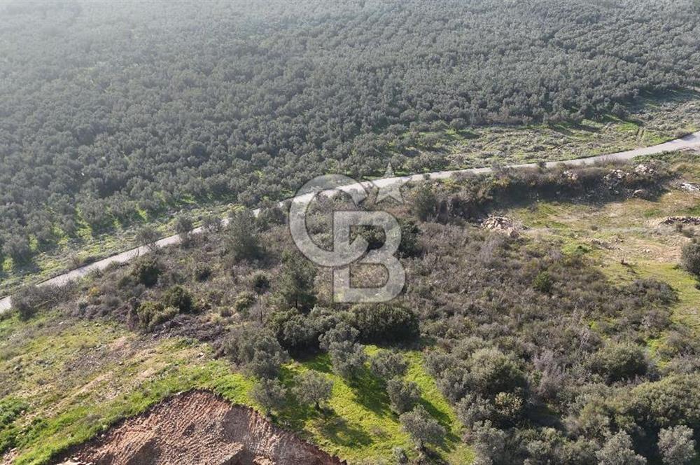 GEMLİK ENGÜRÜCÜK'TE DEPO/ANTREPO İMARLI LOJİSTİK YATIRIM ARSASI