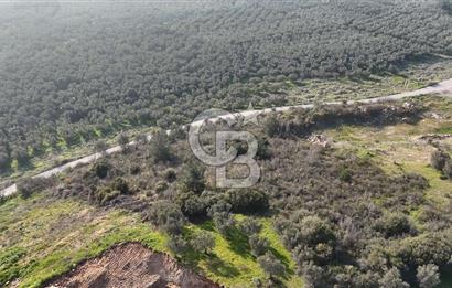 GEMLİK ENGÜRÜCÜK'TE DEPO/ANTREPO İMARLI LOJİSTİK YATIRIM ARSASI