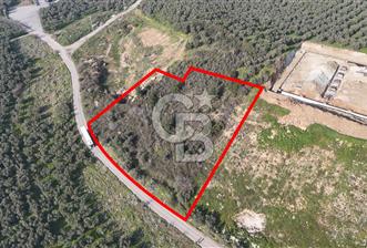 GEMLİK ENGÜRÜCÜK'TE DEPO/ANTREPO İMARLI LOJİSTİK YATIRIM ARSASI - 1 - 337707