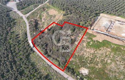 GEMLİK ENGÜRÜCÜK'TE DEPO/ANTREPO İMARLI LOJİSTİK YATIRIM ARSASI