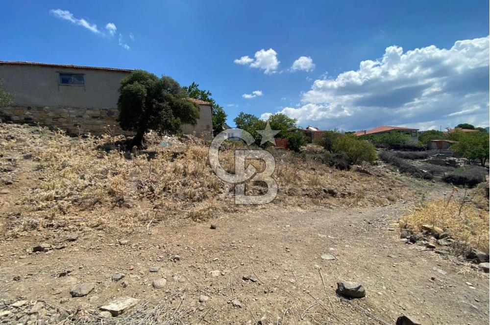 AYVALIK KIRCALAR KÖYİÇİNDE 266 m² ARSA