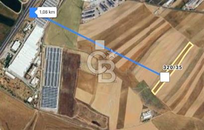 TEMELLİ KUŞCU'DA SATILIK TARLA