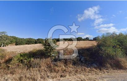 Çanakkale Çan Doğancılar Köyü'nde 13.550 m² Satılık Tarla